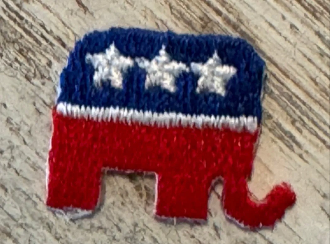 Mini Political Iron On Patches